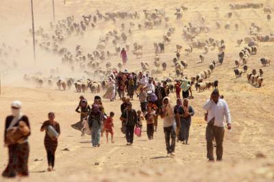 Yazidi minority in Iraq and Syria